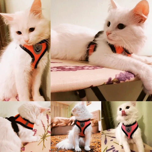 Breathable Mesh Pet Harness & Leash Set Adjustable Polyester Vest Harness with Collar Suitable for Cats Puppies Small Medium Dog